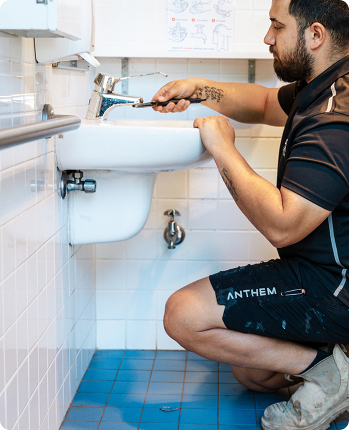 Premium tap and toilet fixtures installed by Dylsal Plumbing
