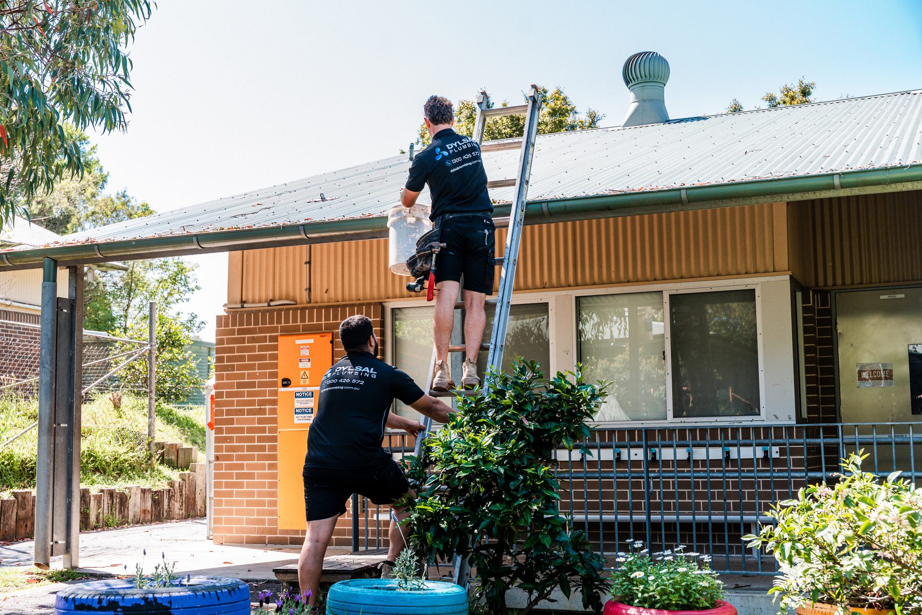 DYLSAL plumbers working on a roof gutter with a ladder